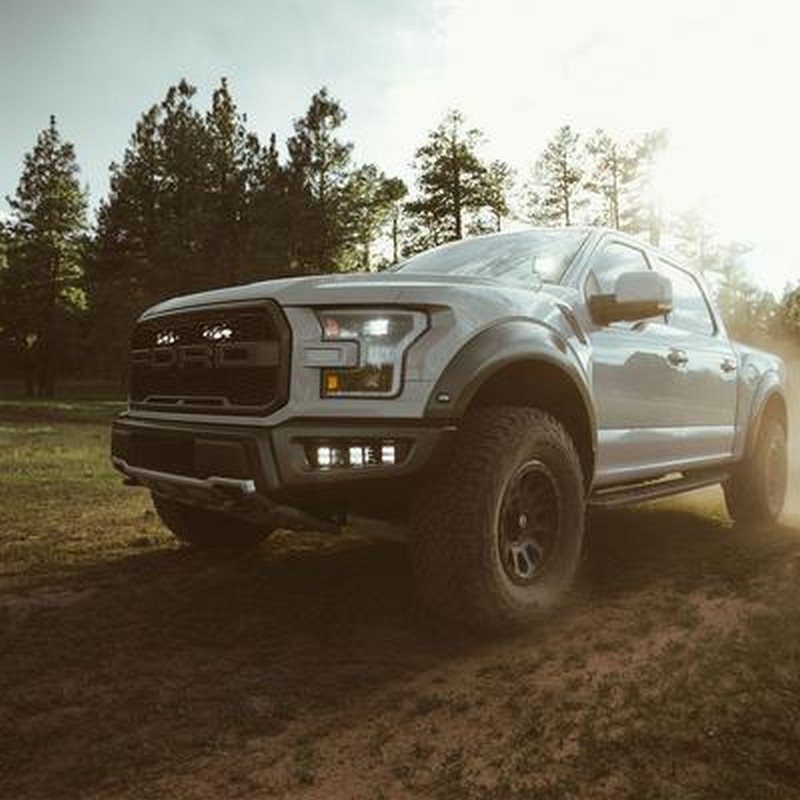 Rigid Industries D-Series Surface Mount Flood LED Lights (Amber)